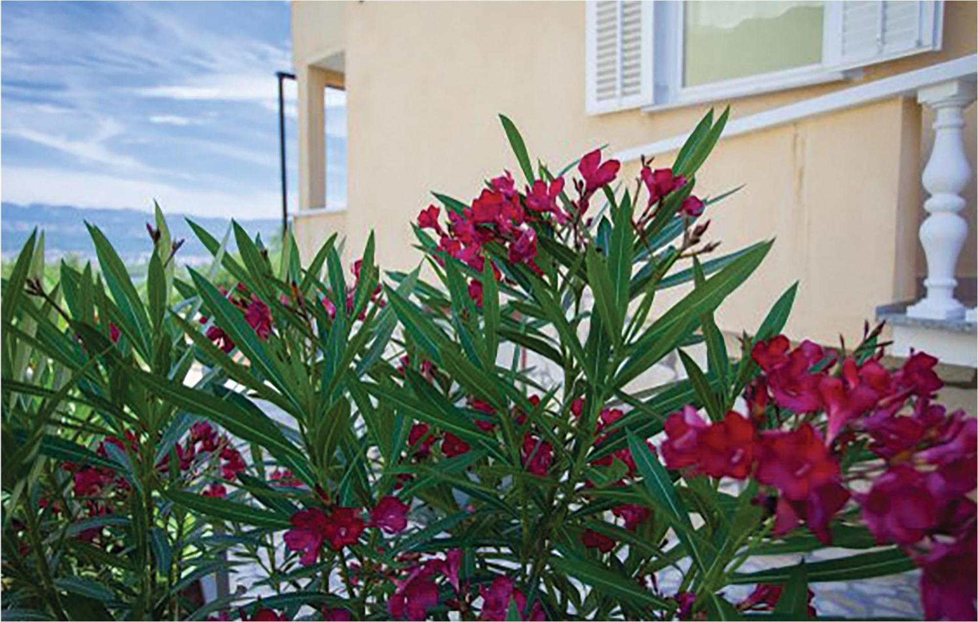 1 Bedroom Beautiful Apartment In Malinska Exteriör bild